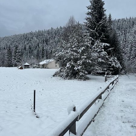 Bambetli Villa Tatariv Dış mekan fotoğraf