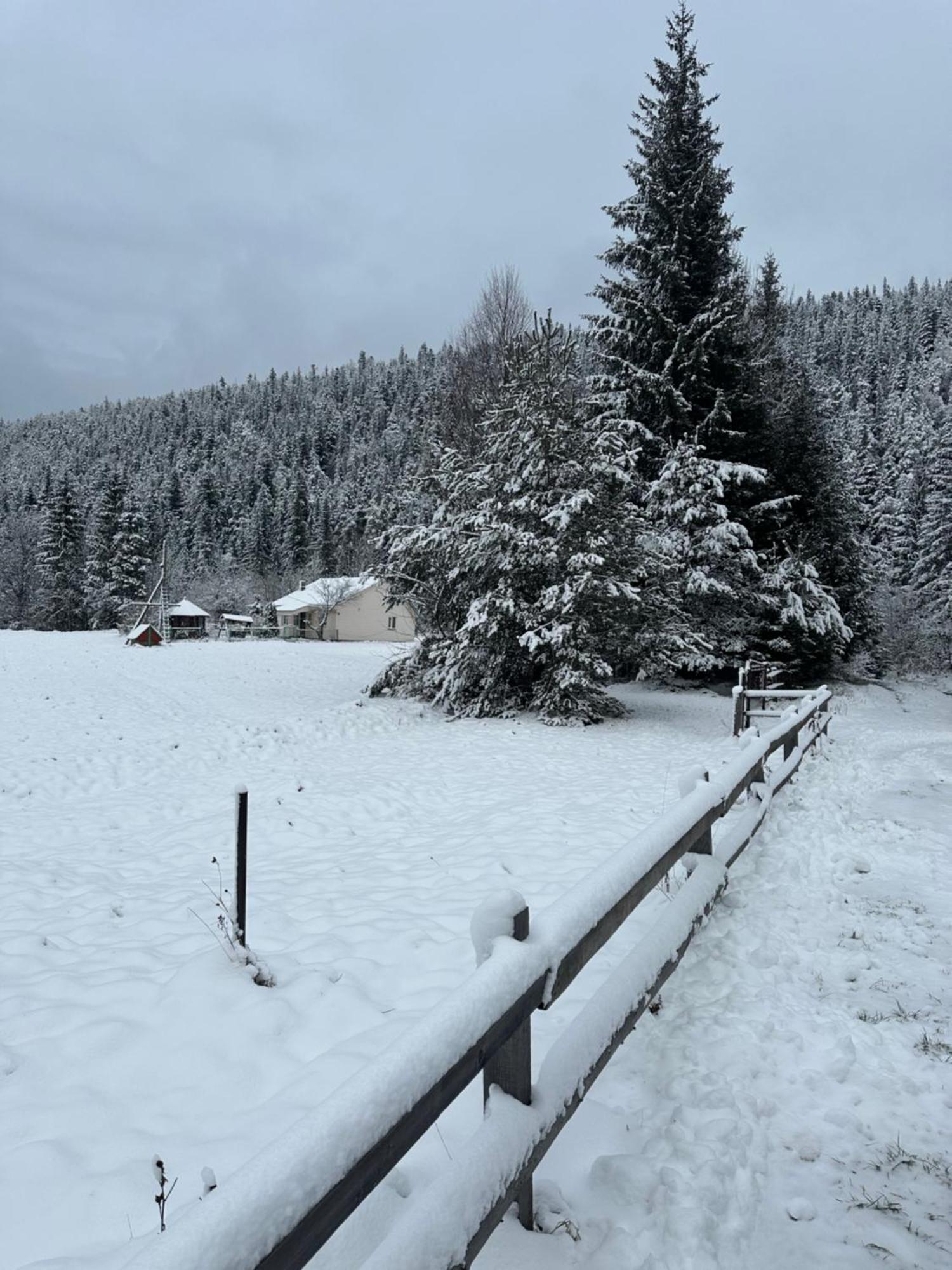 Bambetli Villa Tatariv Dış mekan fotoğraf