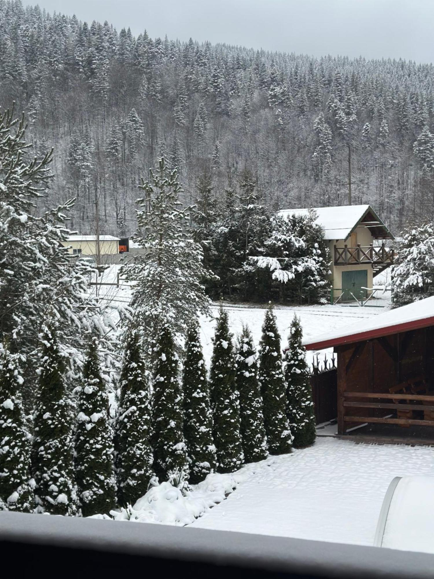 Bambetli Villa Tatariv Dış mekan fotoğraf